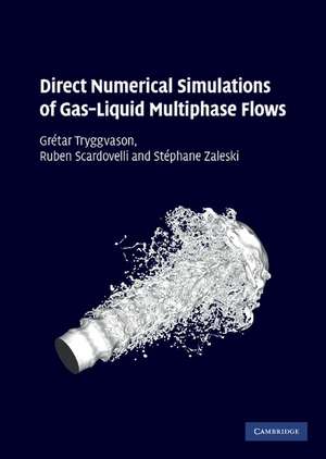 Direct Numerical Simulations of Gas–Liquid Multiphase Flows de Grétar Tryggvason