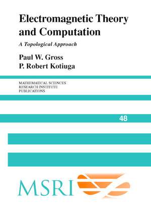 Electromagnetic Theory and Computation: A Topological Approach de Paul W. Gross