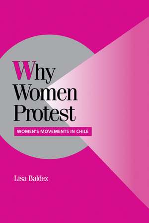 Why Women Protest: Women's Movements in Chile de Lisa Baldez