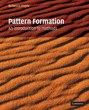 Pattern Formation: An Introduction to Methods de Rebecca Hoyle