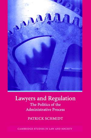 Lawyers and Regulation: The Politics of the Administrative Process de Patrick Schmidt