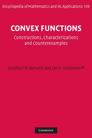 Convex Functions: Constructions, Characterizations and Counterexamples de Jonathan M. Borwein