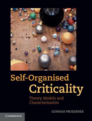 Self-Organised Criticality: Theory, Models and Characterisation de Gunnar Pruessner