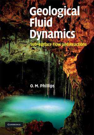 Geological Fluid Dynamics: Sub-surface Flow and Reactions de Owen M. Phillips