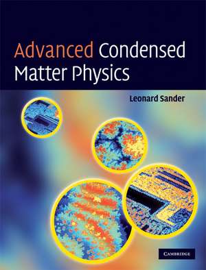 Advanced Condensed Matter Physics de Leonard M. Sander