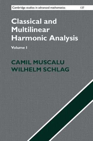 Classical and Multilinear Harmonic Analysis de Camil Muscalu