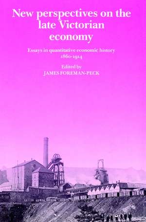 New Perspectives on the Late Victorian Economy: Essays in Quantitative Economic History, 1860–1914 de James Foreman-Peck