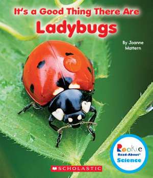 It's a Good Thing There Are Ladybugs de Joanne Mattern