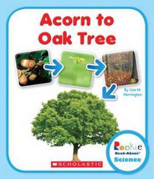 Acorn to Oak Tree de Lisa M. Herrington