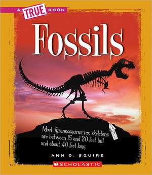 Fossils de Ann O. Squire