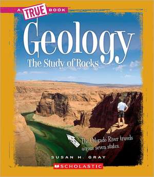 Geology: The Study of Rocks de Susan Heinrichs Gray