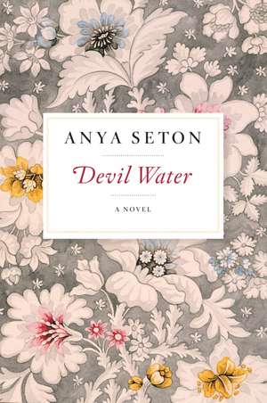 Devil Water: A Novel de Anya Seton