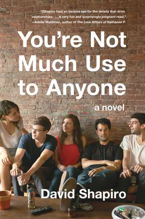 You're Not Much Use to Anyone: A Novel de David Shapiro