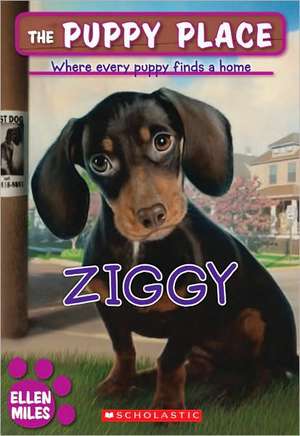 Ziggy de Ellen Miles