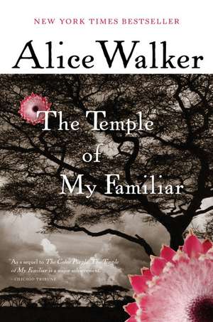 The Temple Of My Familiar de Alice Walker