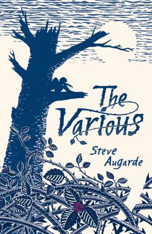 The Various de Steve Augarde