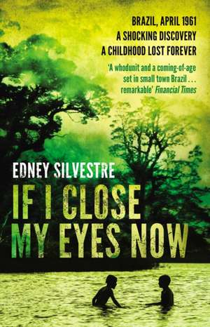 If I Close My Eyes Now de Edney Silvestre