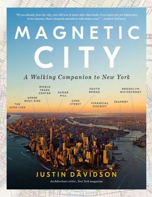 Magnetic City de Justin Davidson