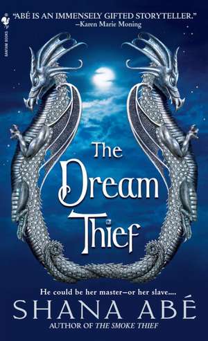 The Dream Thief de Shana Abe