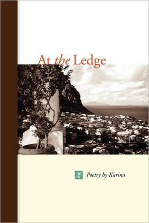 At the Ledge de Karen Safer