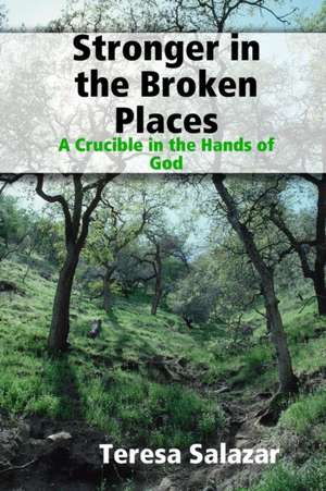 Stronger in the Broken Places de Teresa Salazar