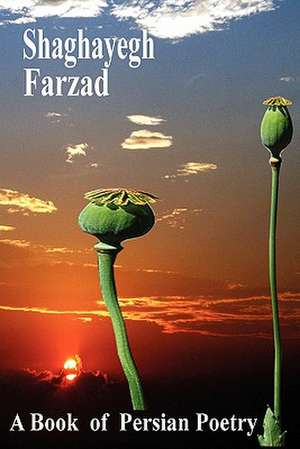 Shaghayegh de Farzad MIM