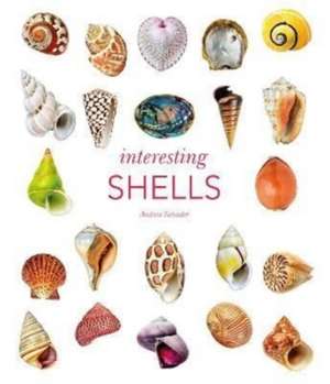 Interesting Shells de Andreia Salvador