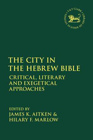 The City in the Hebrew Bible: Critical, Literary and Exegetical Approaches de Dr James K Aitken