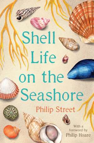 Shell Life on the Seashore de Philip Street