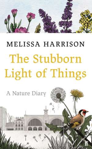 The Stubborn Light of Things de Melissa Harrison