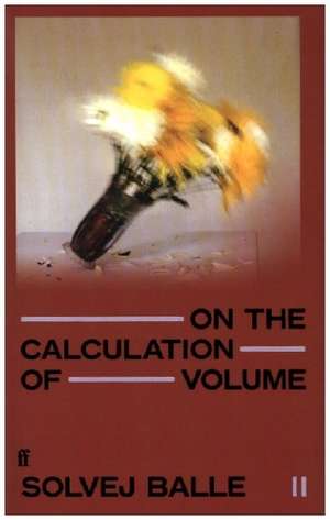 On the Calculation of Volume II de Solvej Balle