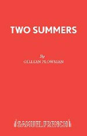 Two Summers de Gillian Plowman