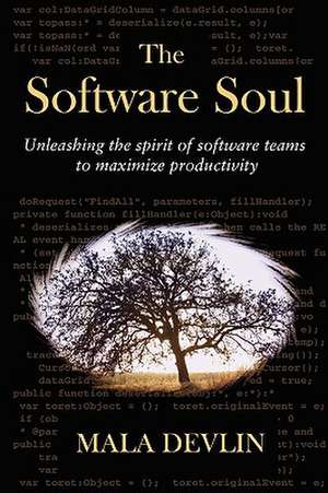 The Software Soul de Mala Devlin