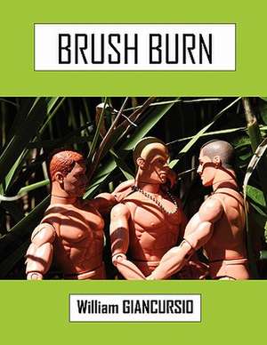 Brush Burn de William Giancursio