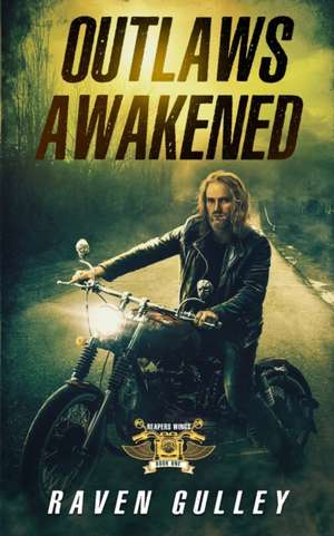 Outlaws Awakened de Raven Gulley