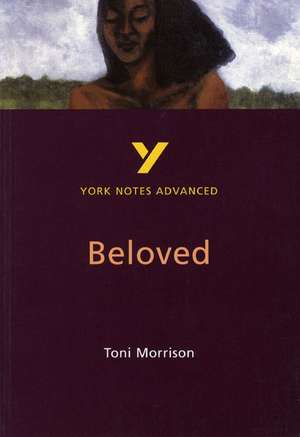 Toni Morrison 'Beloved': everything you need to catch up, study and prepare for 2025 assessments and 2026 exams de Laura Gray