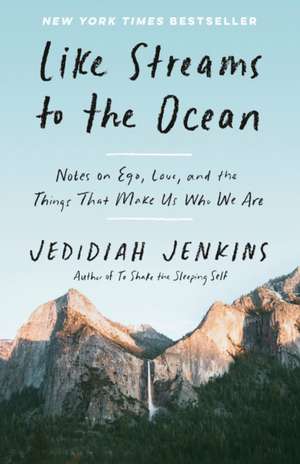 Like Streams to the Ocean de Jedidiah Jenkins