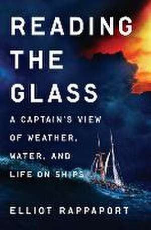 Reading the Glass de Elliot Rappaport