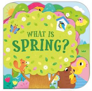 What Is Spring? de Sonali Fry