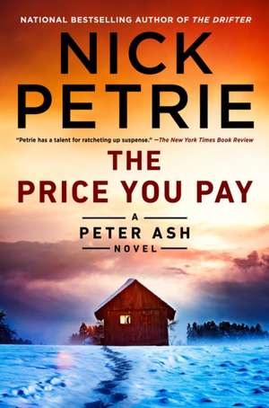 The Price You Pay de Nick Petrie