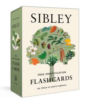 Sibley Tree Identification Flashcards de David Allen Sibley