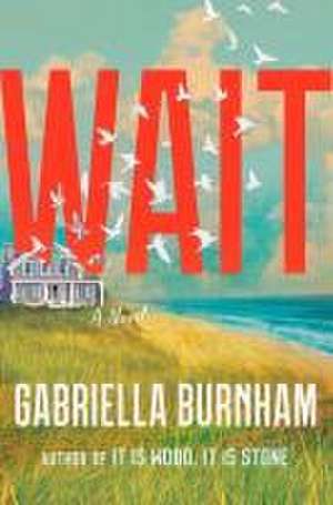 Burnham, G: WAIT de Gabriella Burnham