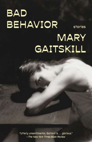 Bad Behavior de Mary Gaitskill