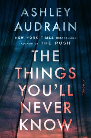 The Things You'll Never Know de Ashley Audrain
