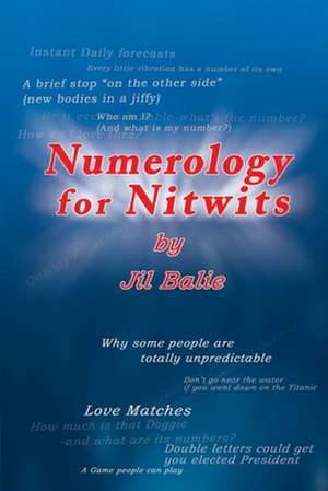 Numerology for Nitwits de Jil Balie