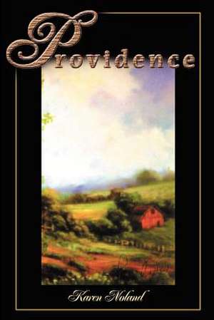 Providence de Karen Noland