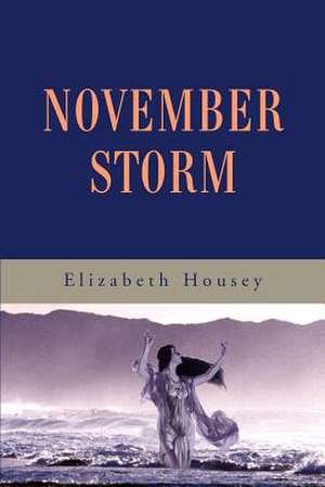 November Storm de Elizabeth Housey