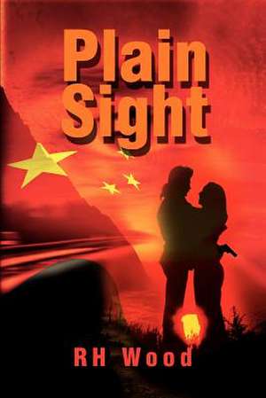 Plain Sight de R. H. Wood