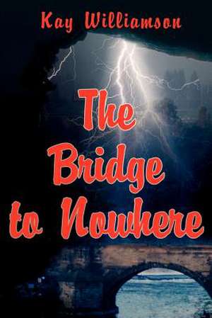 The Bridge to Nowhere de Kay Williamson