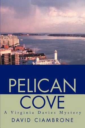 Pelican Cove de David Ciambrone